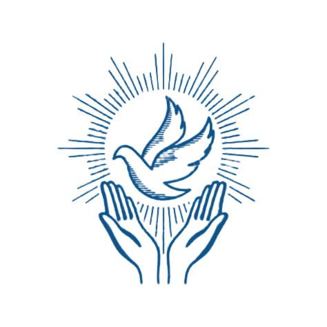 image (25)